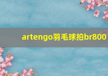 artengo羽毛球拍br800