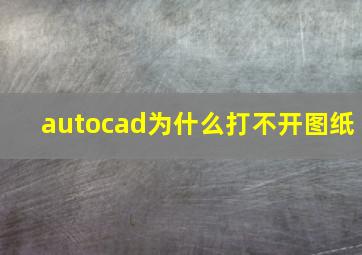 autocad为什么打不开图纸