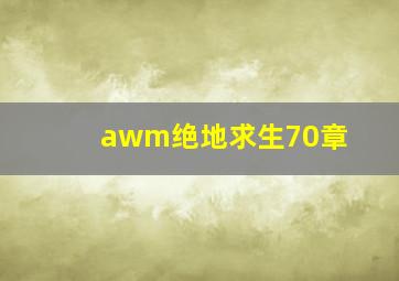 awm绝地求生70章