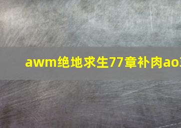 awm绝地求生77章补肉ao3