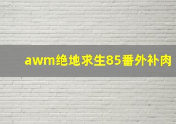 awm绝地求生85番外补肉