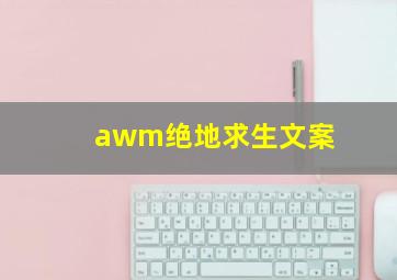 awm绝地求生文案