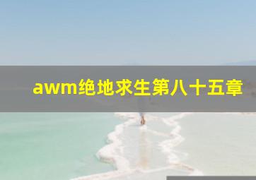 awm绝地求生第八十五章