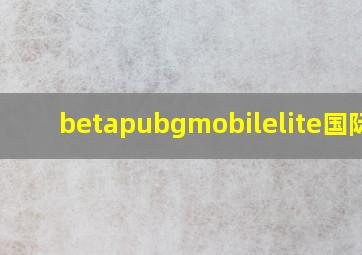 betapubgmobilelite国际服