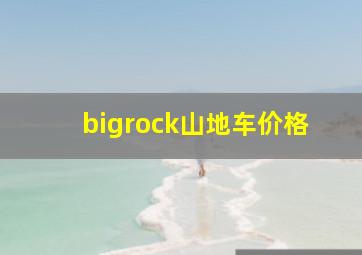 bigrock山地车价格