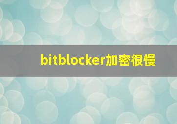 bitblocker加密很慢