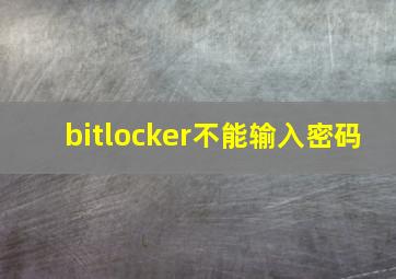 bitlocker不能输入密码