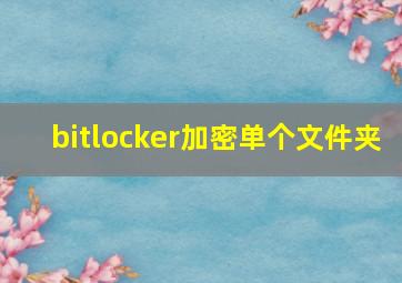 bitlocker加密单个文件夹