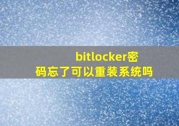 bitlocker密码忘了可以重装系统吗