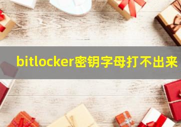 bitlocker密钥字母打不出来