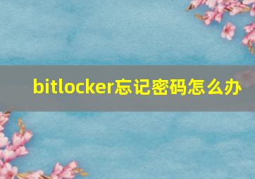 bitlocker忘记密码怎么办