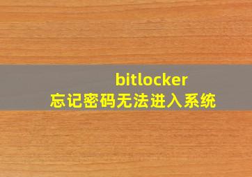 bitlocker忘记密码无法进入系统