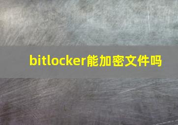 bitlocker能加密文件吗