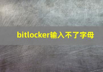 bitlocker输入不了字母