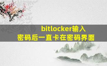 bitlocker输入密码后一直卡在密码界面