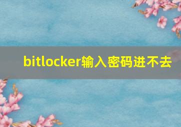 bitlocker输入密码进不去