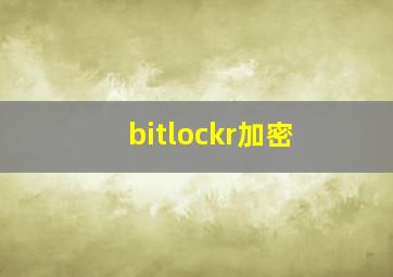 bitlockr加密