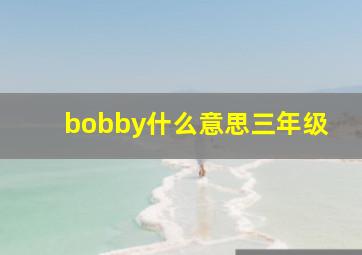 bobby什么意思三年级