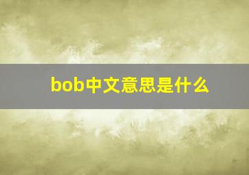 bob中文意思是什么