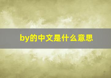 by的中文是什么意思