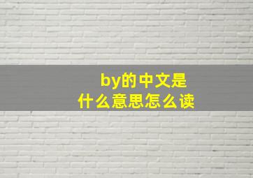 by的中文是什么意思怎么读