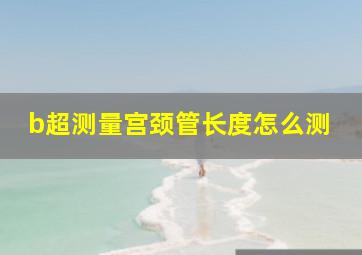 b超测量宫颈管长度怎么测