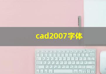 cad2007字体