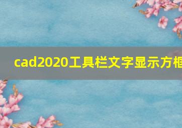 cad2020工具栏文字显示方框