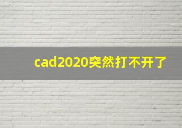 cad2020突然打不开了