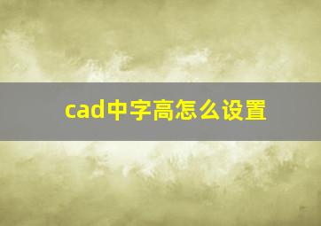 cad中字高怎么设置