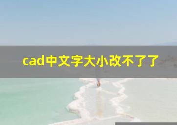 cad中文字大小改不了了