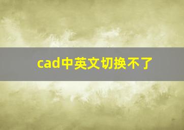 cad中英文切换不了