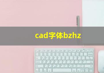 cad字体bzhz