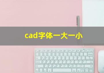 cad字体一大一小