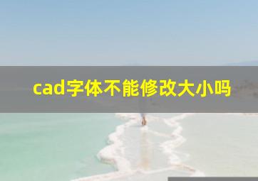 cad字体不能修改大小吗