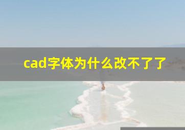 cad字体为什么改不了了