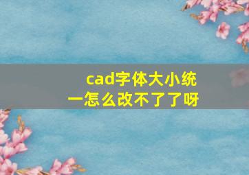 cad字体大小统一怎么改不了了呀