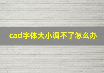 cad字体大小调不了怎么办