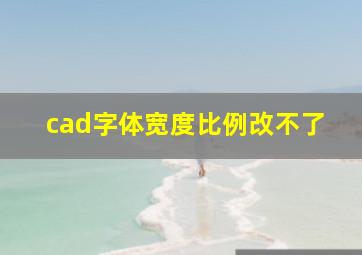 cad字体宽度比例改不了