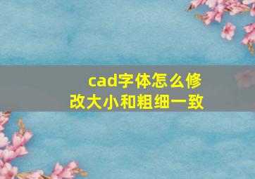 cad字体怎么修改大小和粗细一致