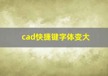 cad快捷键字体变大