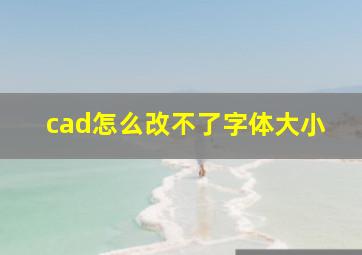 cad怎么改不了字体大小