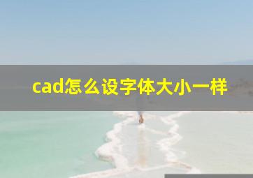 cad怎么设字体大小一样