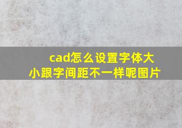 cad怎么设置字体大小跟字间距不一样呢图片