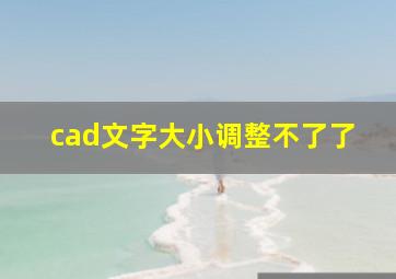 cad文字大小调整不了了