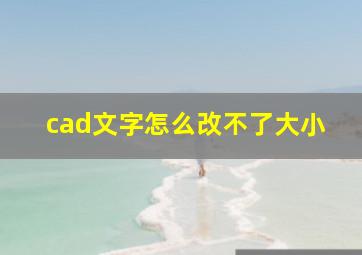 cad文字怎么改不了大小