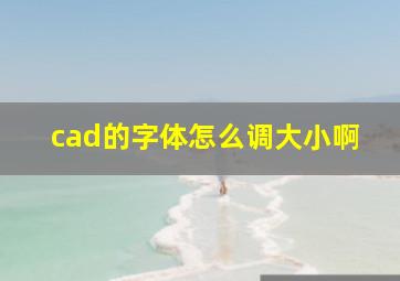 cad的字体怎么调大小啊