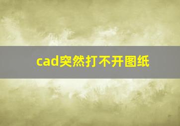 cad突然打不开图纸