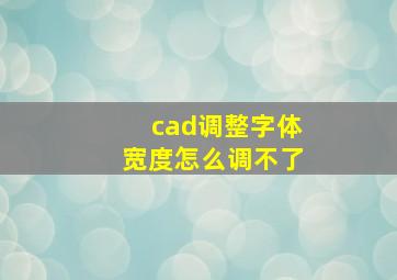 cad调整字体宽度怎么调不了