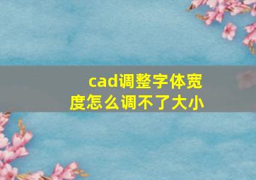 cad调整字体宽度怎么调不了大小